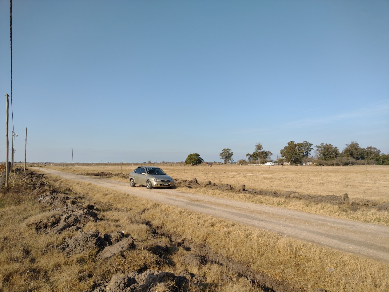 EXCELENTE Y AMPLIO LOTE EN MADARIAGA