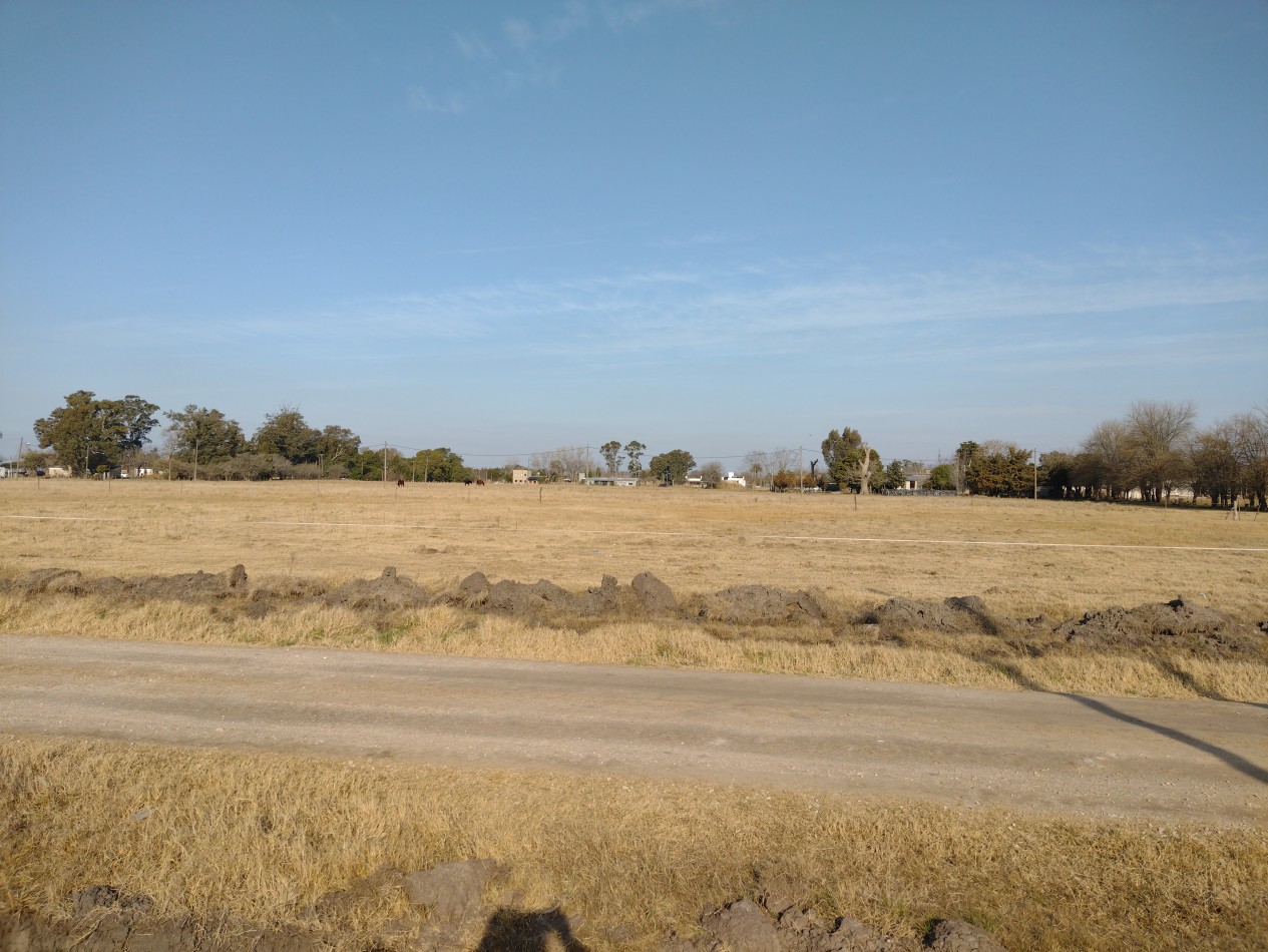 EXCELENTE Y AMPLIO LOTE EN MADARIAGA